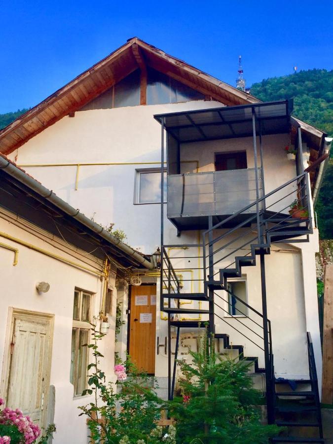 Downtown Hostel Brasov Exterior photo