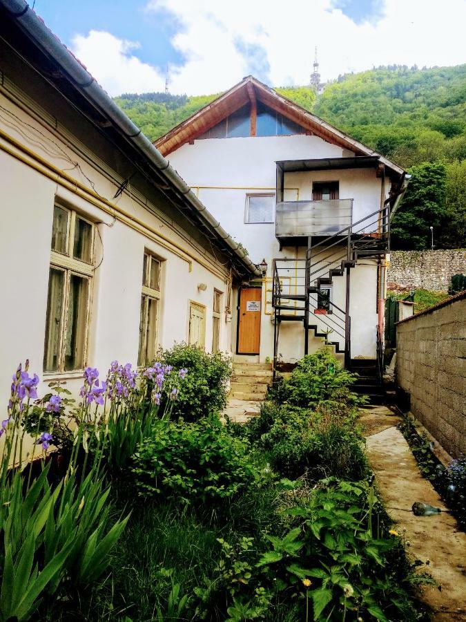 Downtown Hostel Brasov Exterior photo